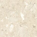 Dalle 60x60 Terrazzo Perlato Royal